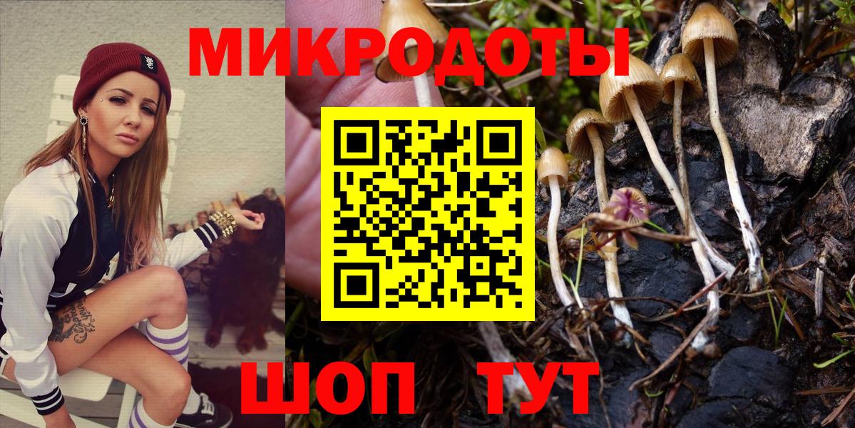 Галлюциногенные грибы Cubensis Магадан