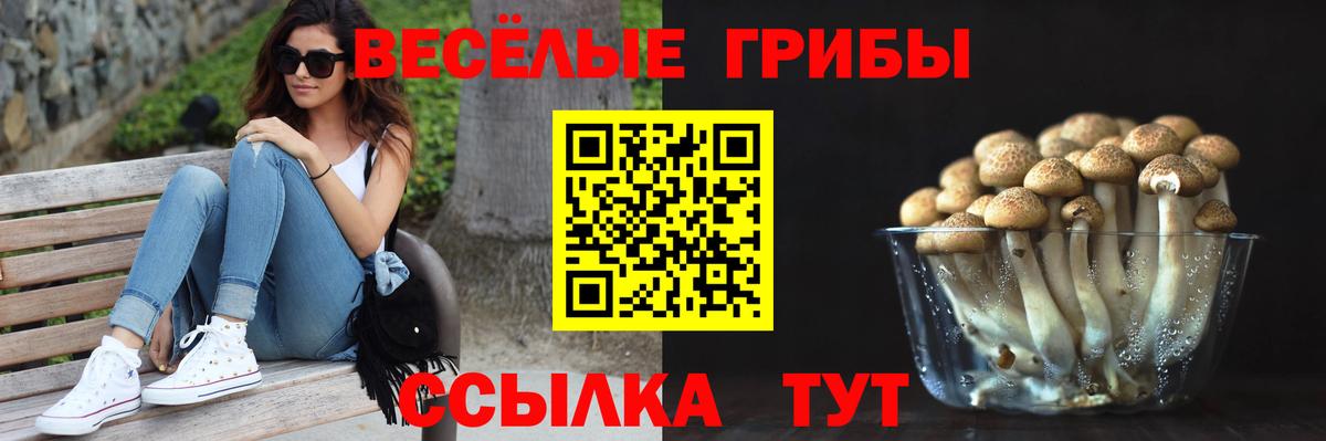 Галлюциногенные грибы Psilocybine cubensis  Вход с VPN  Магадан 
